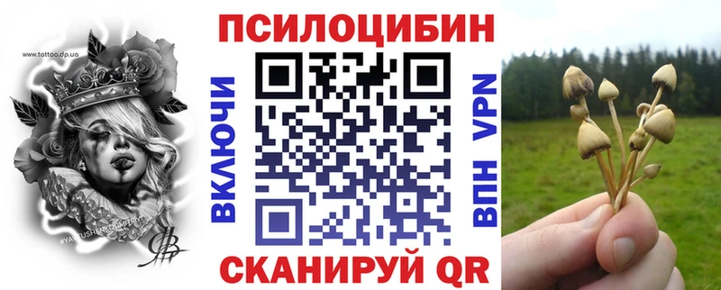 Купить  Богданович  Псилоцибиновые грибы прущие грибы 